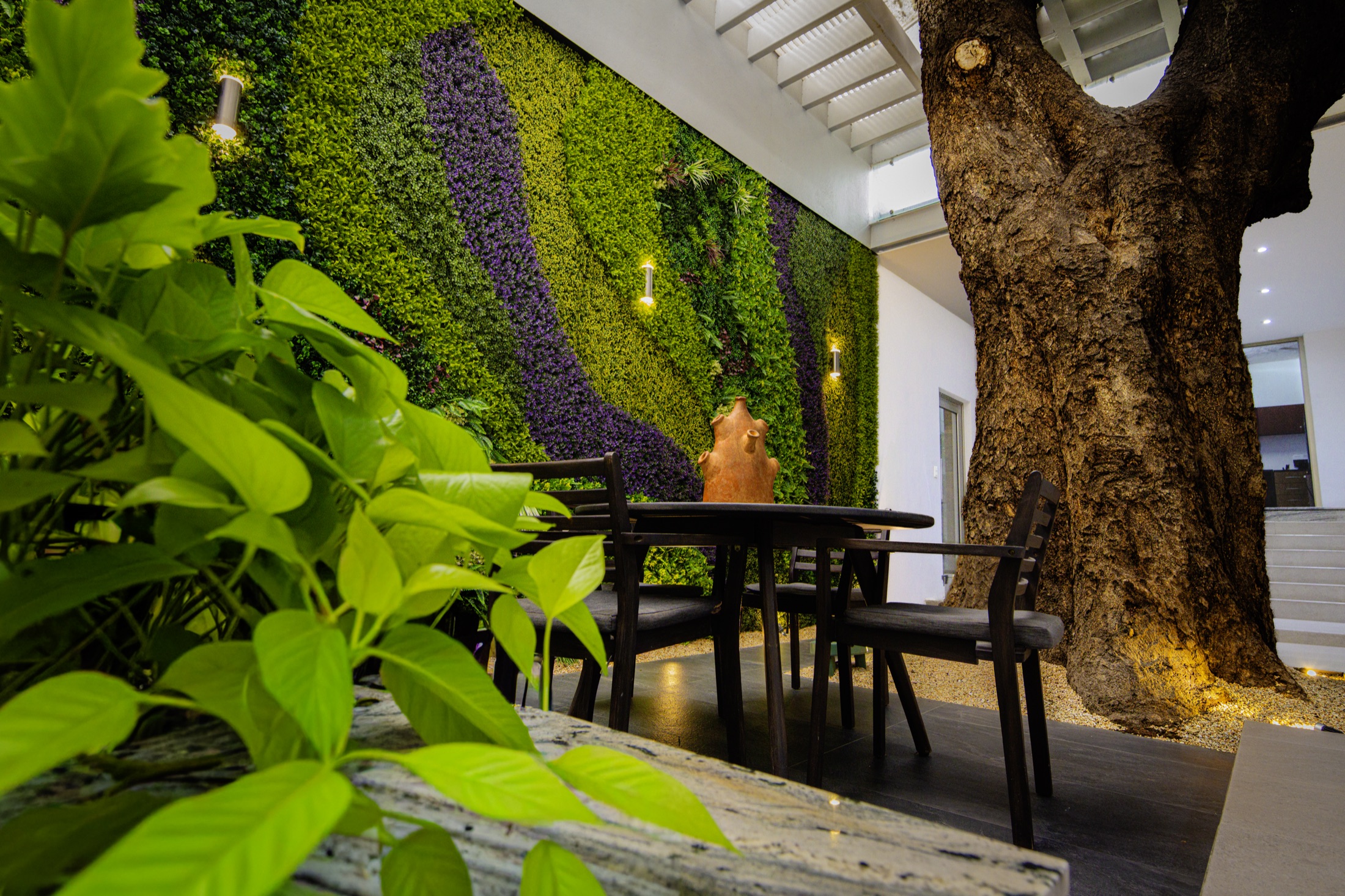 Patio interior con muro verde
